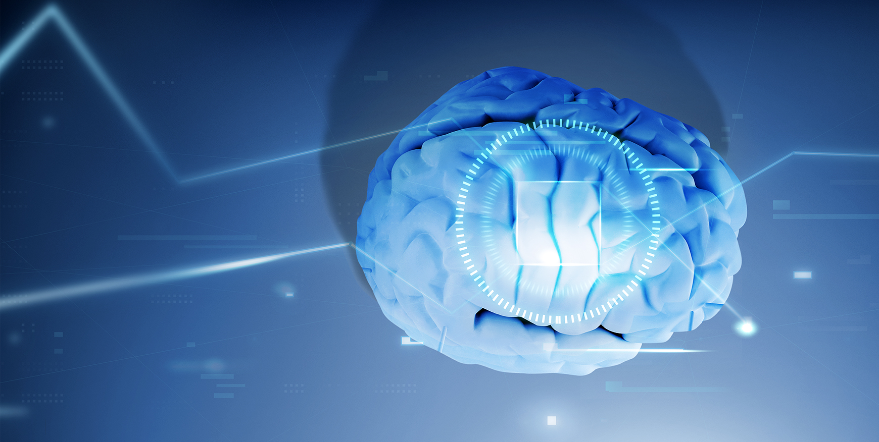 뇌의 구조를 형상화한 디지털 그래픽